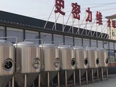 延平精酿啤酒设备厂—如何判断精酿啤酒设备的密封件需要更换？
